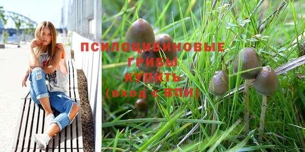 прущая мука Нягань